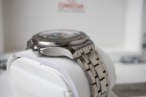 Omega Seamaster 300M "Beijing 2022"
