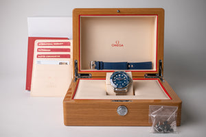 Omega Seamaster 300M 210.30.42.20.03.001