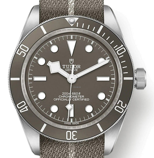 Tudor 79010SG