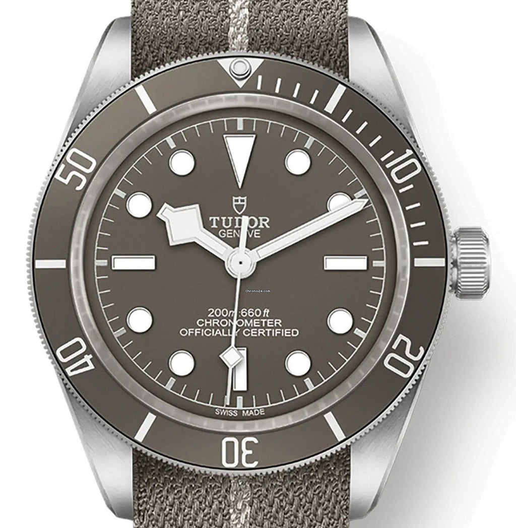 Tudor 79010SG