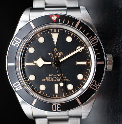 Tudor Black Bay 58 79030N